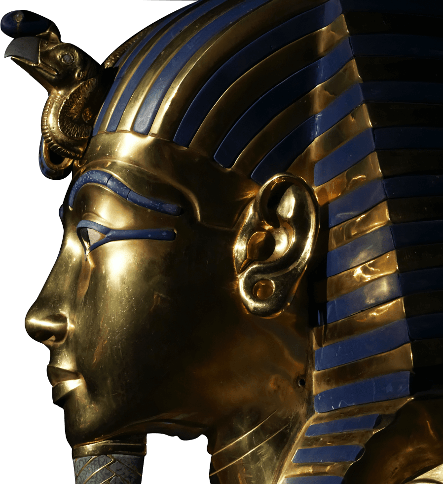 Prepares for unveiling King Tut's treasures